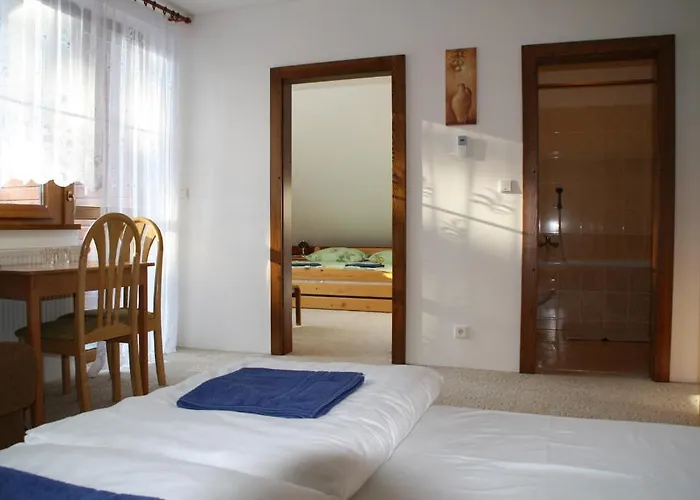 Апартаменти Pension-apartmany Apollo *